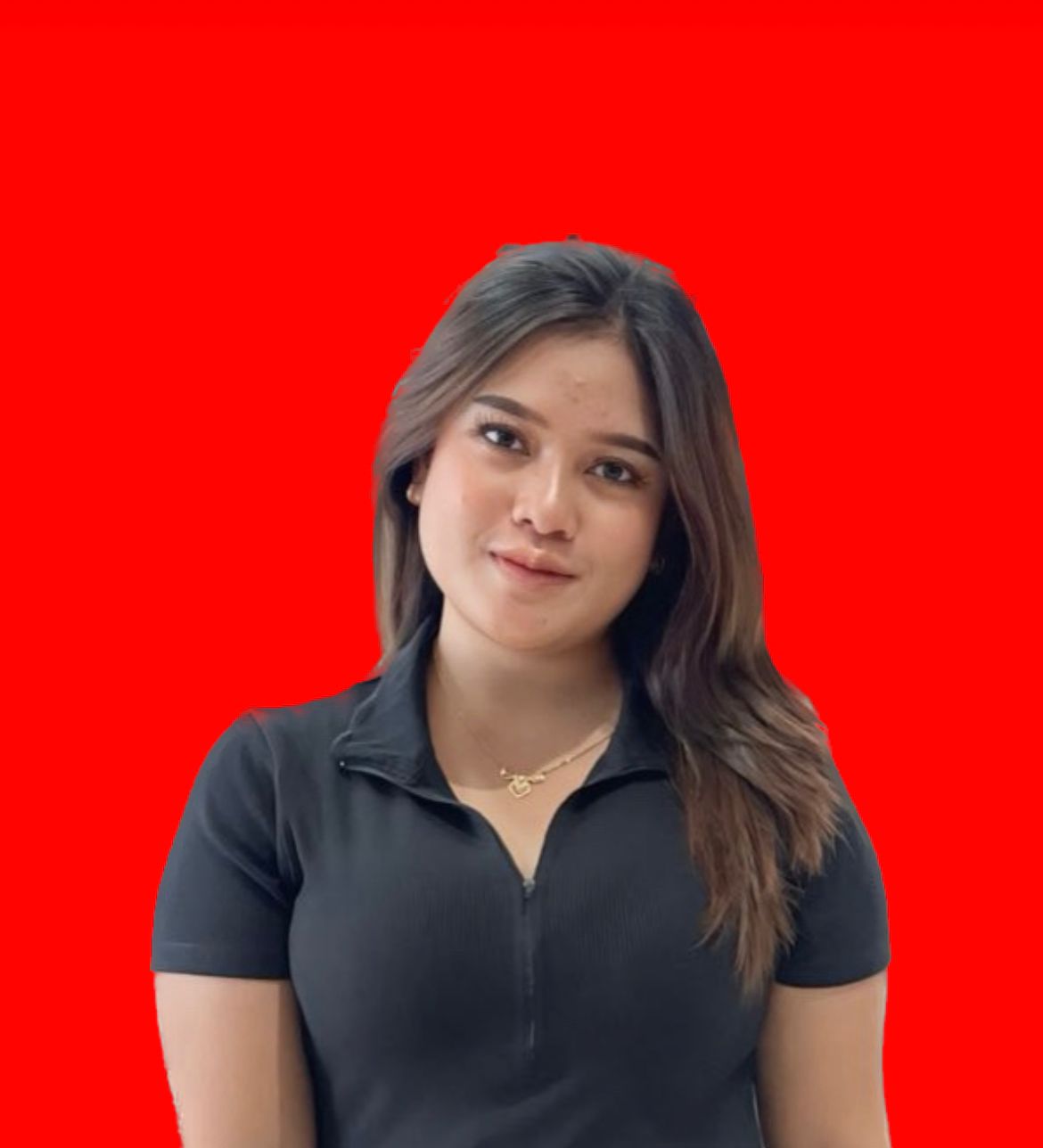 Dila Sales Consultant  Anda